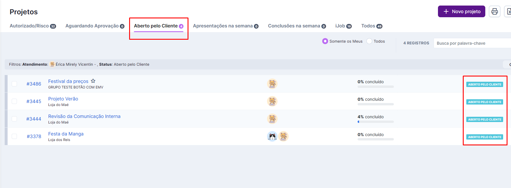 Projeto recebido com status Aberto pelo cliente