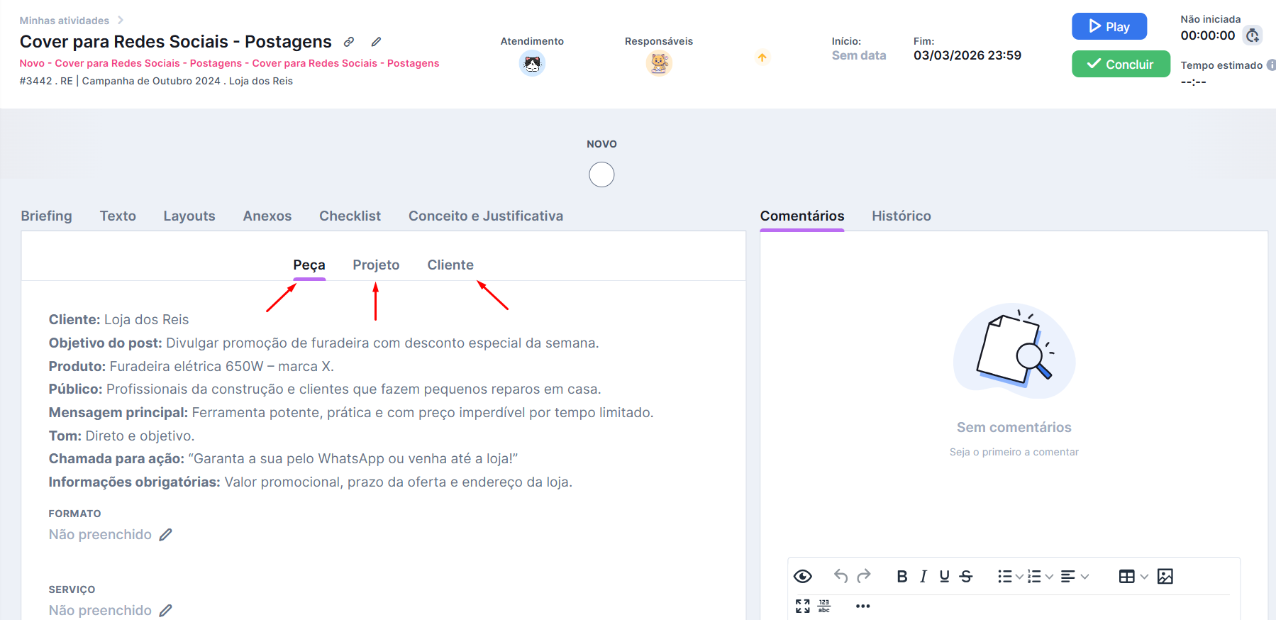 Briefing e perfil do cliente visíveis na peça